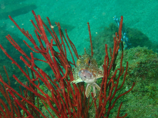 P9240289