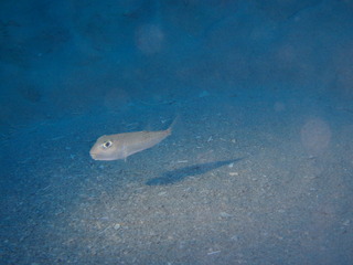 P6300194