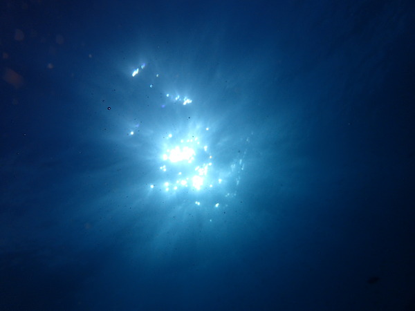 P8260012