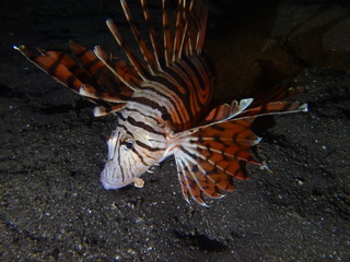 P8250152
