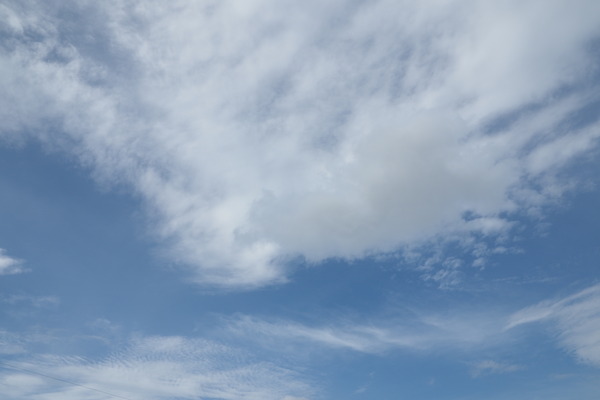 P9121173