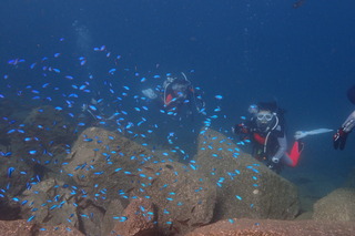 P8250788