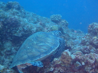 P6300411