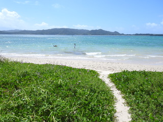 DSCN5501