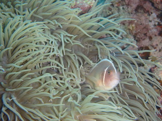 P6290042