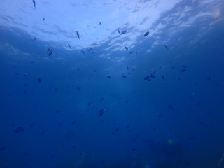 P8040115