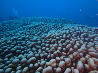 P6300441