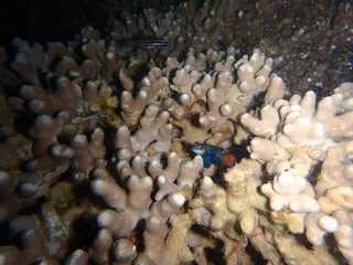 P6290120