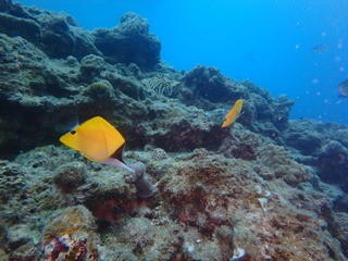 P6300216