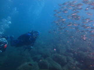 P8040384