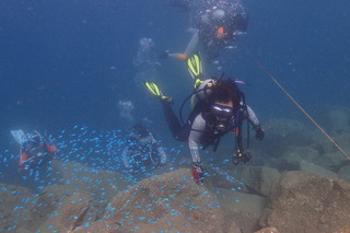 P8250791