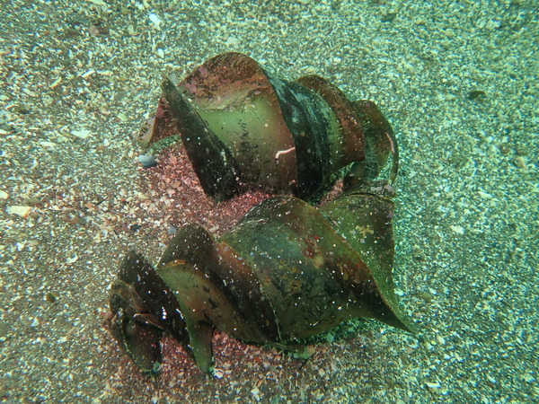 P9240281