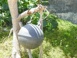 DSCN5621