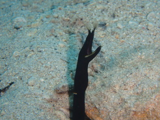P6290106