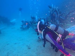 P6290080
