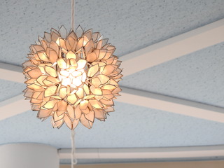 DSCN5396