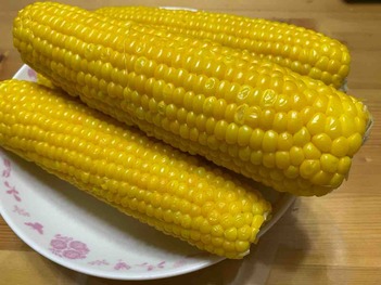 FullSizeRender