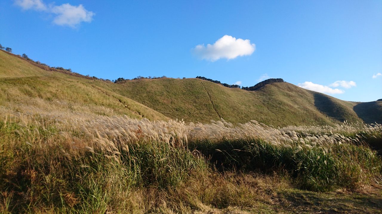 Python3 Opnecv3でパノラマ画像 Akaze 後方確認メモ