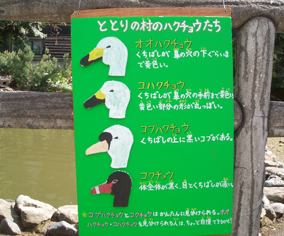 旭山動物園 その2 石川香代 石川伊津のpop日記