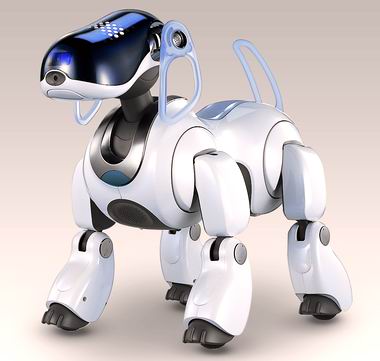 aibo1