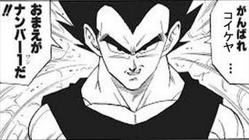 vegeta2