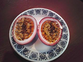 トロピカルフルーツ 小笠原父島ホテルビーチコマ