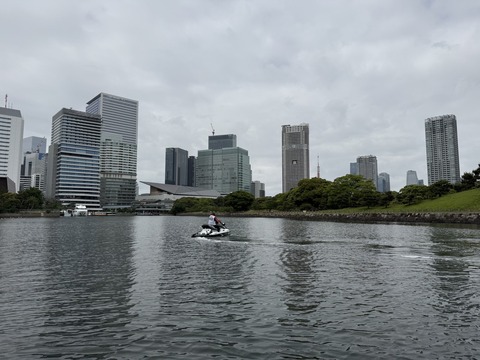 S__21798938_0