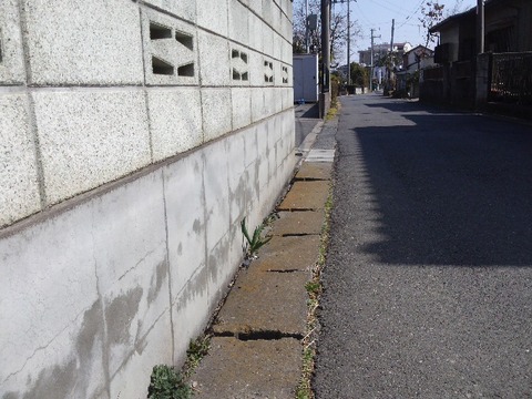 DCIM0397