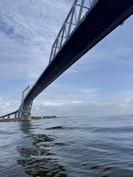 S__21798942_0