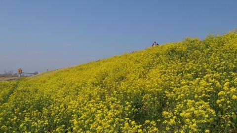 DCIM1053