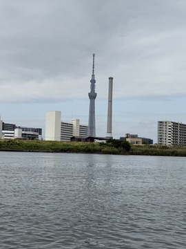 S__21798935_0
