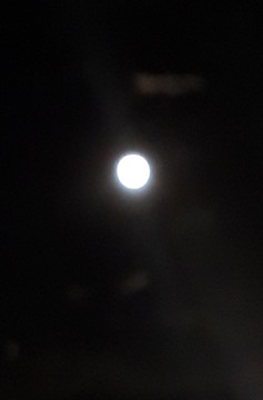 20191212_175626[290]