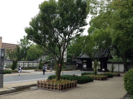 徳川園でお茶と最中アイス 世界のビーチリゾート ブログ編 徳川園でお茶と最中アイス 世界のビーチリゾート ブログ編