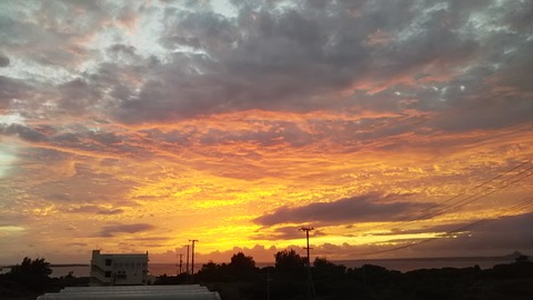 DSC_0914