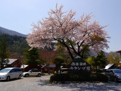 イメージ 34