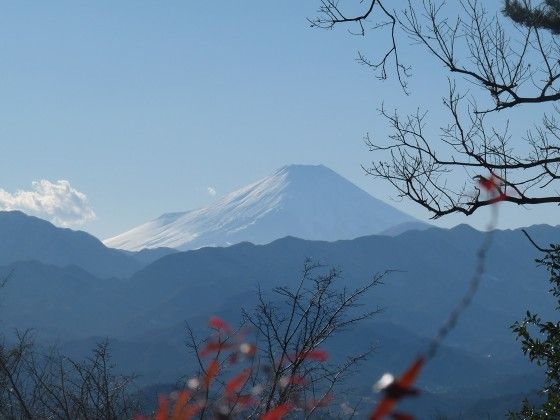 イメージ 19