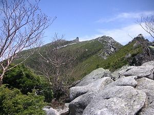 イメージ 15