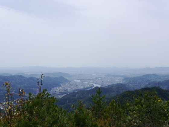 イメージ 33