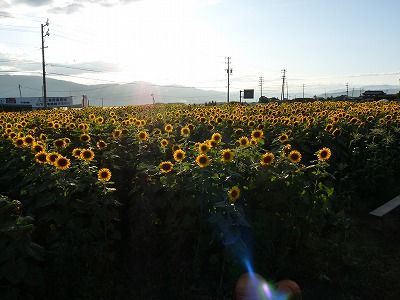 イメージ 26