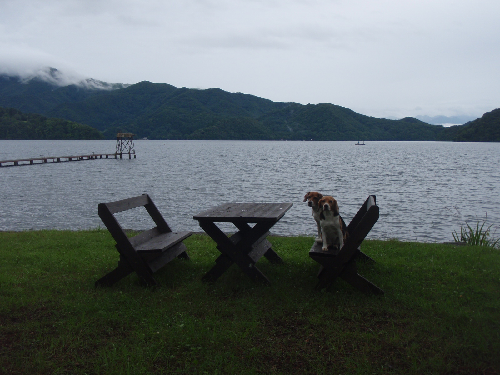 野尻湖散策 お留守番犬の幸せ Ver 2 野尻湖散策 お留守番犬の幸せ Ver 2