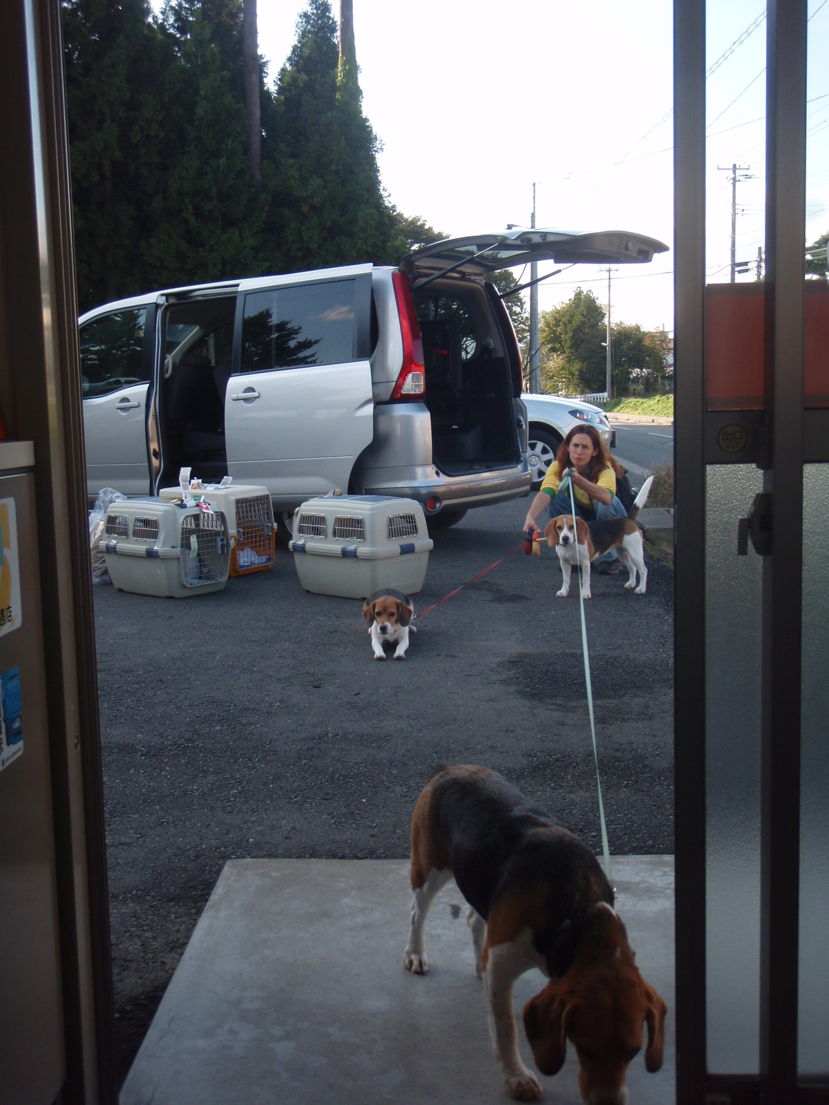 青森旅行 １ お留守番犬の幸せ Ver 2