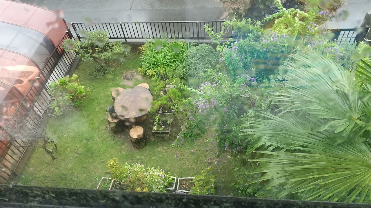 22年9月18日 秋の長雨 Dance With The Market