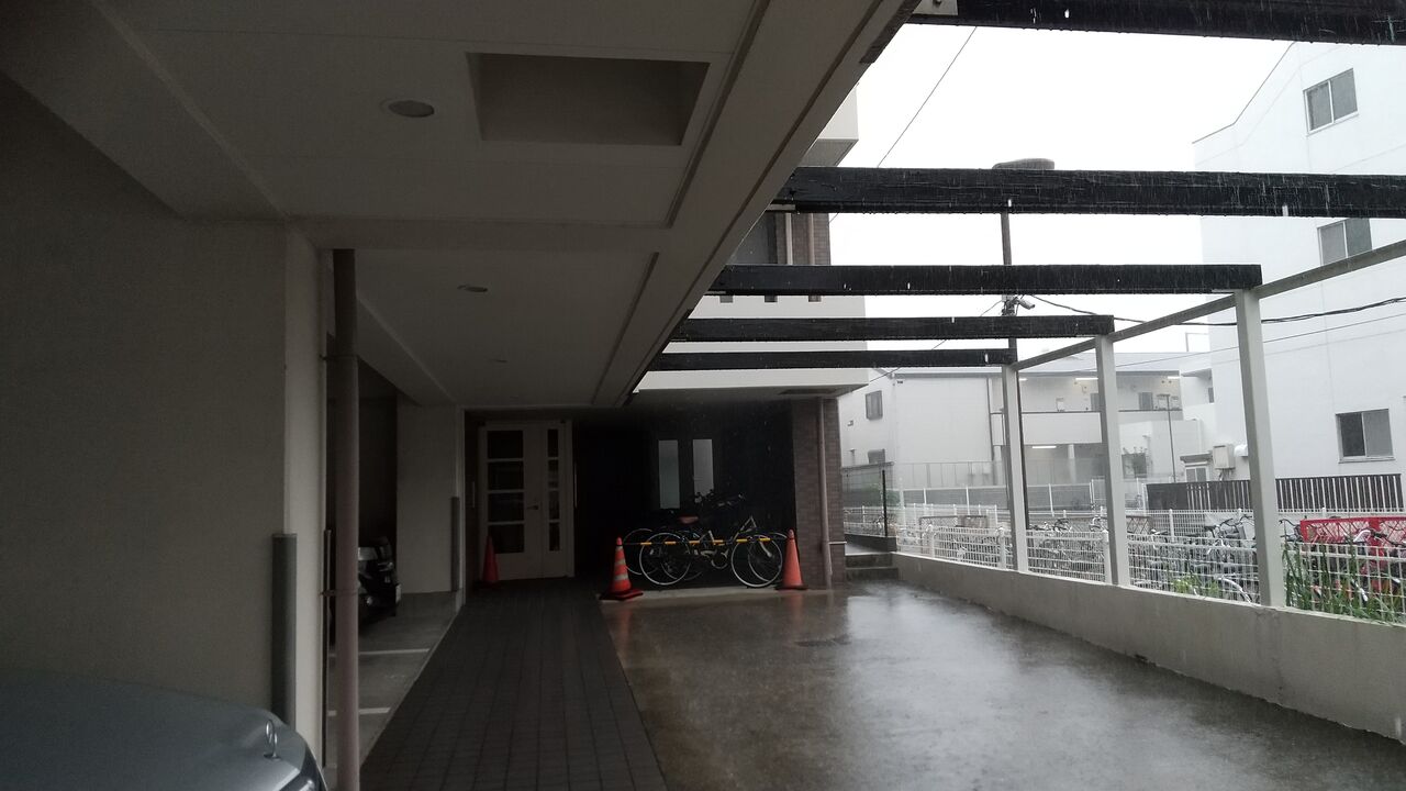 22年9月18日 秋の長雨 Dance With The Market