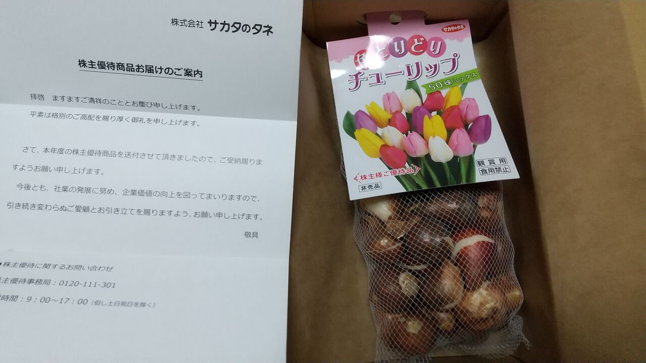 サカタのタネ 株主優待 チューリップ球根 ミックス 50球×4箱