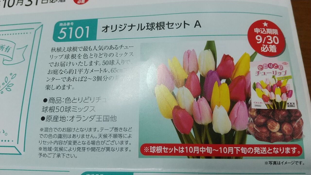 2022年8月26日 サカタのタネ株主優待案内到着！ : Dance with the Market