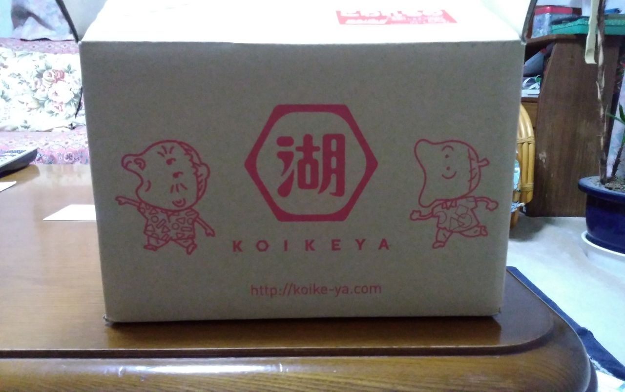 20180929 湖池屋株主優待到着 Dance With The Market