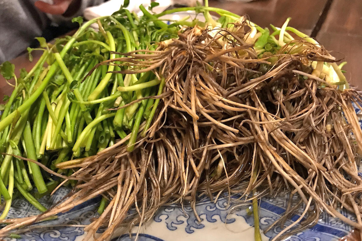 2019-02-25 19.20.19_s