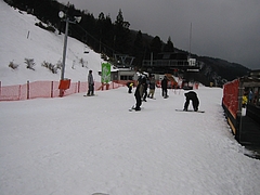 IMG_2956