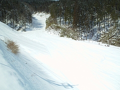 DSC00962