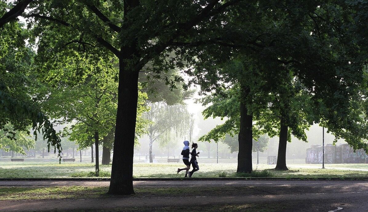 jogging-4211946_1280.jpg Jogging 4211946 1280
